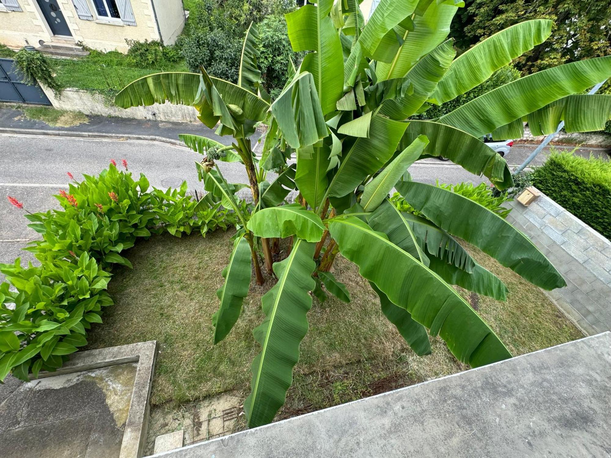 Villa Des Palmiers, Chambre 3, Lit Double Villeneuve-sur-Lot Ngoại thất bức ảnh